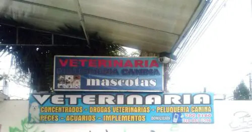 VETERINARIA PELUQUERIA CANINA CARRERA 92 CON 147 VETERINARIA PELUQUERIA CANINA CARRERA 92 CON 147
